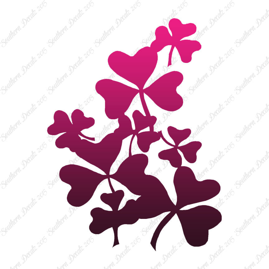 Shamrocks Irish Clover