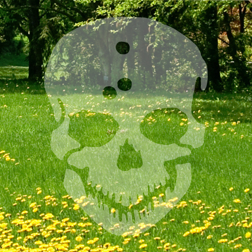 Skull Bullet Holes