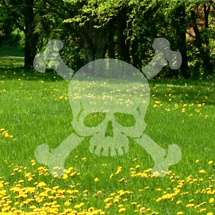 Skull Bone Crossbones