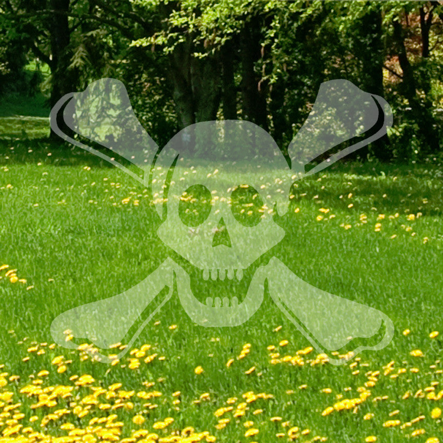 Skull Bones Crossbones