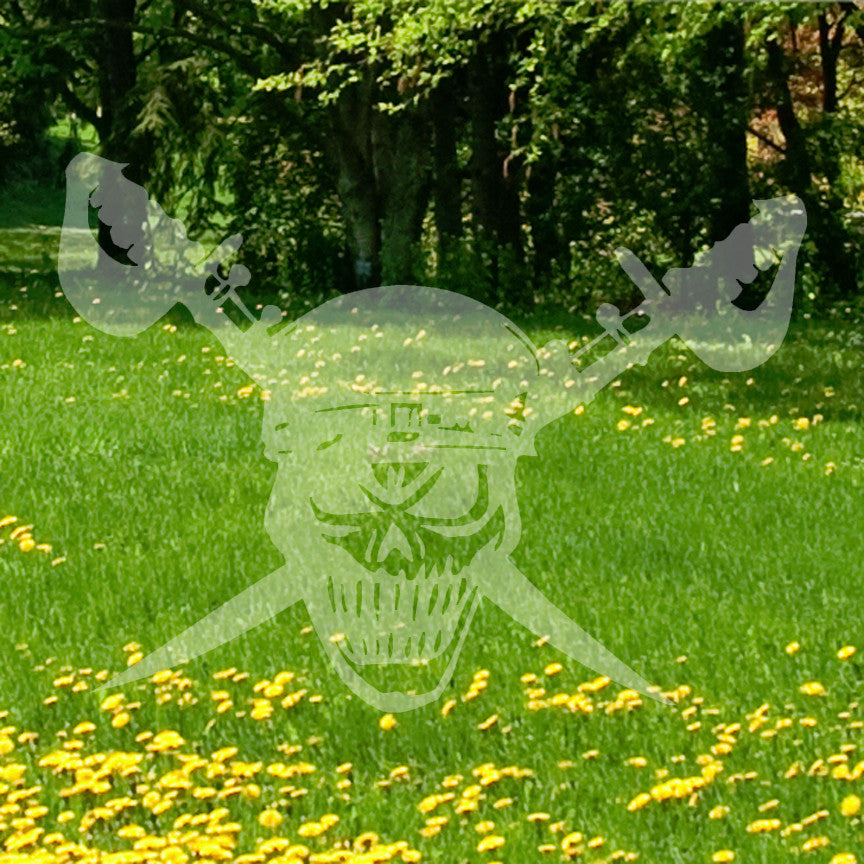 Skull Crossbone Sword Pirate
